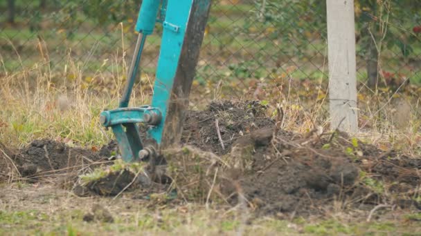 Scavatore scava le radici dei vecchi alberi — Video Stock