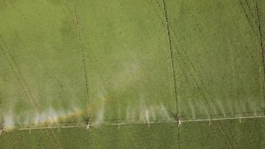 Alanın özel ekipmanlarla otomatik sulama