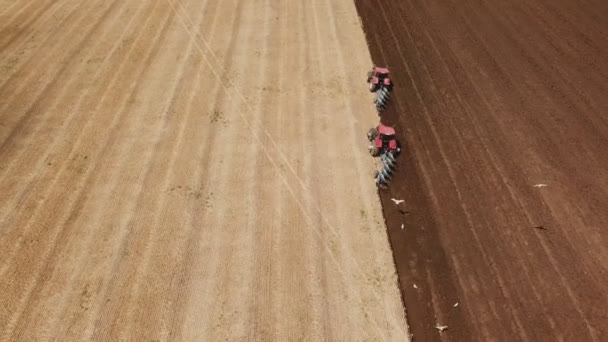 Два трактора вспахивают поле — стоковое видео