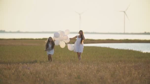 Mãe e filha caminham no campo — Vídeo de Stock