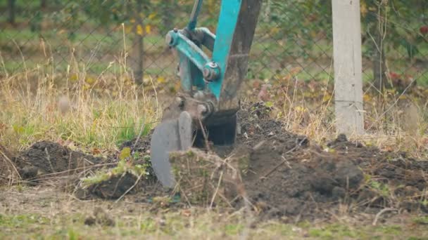 Excavator digs the roots of old trees — Stock Video