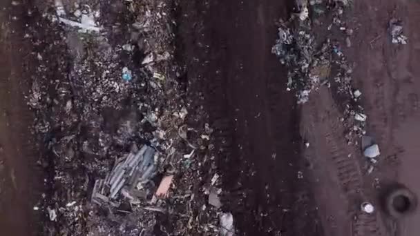 Bulldozer verzamelt afval in een stapel — Stockvideo