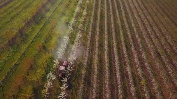 Trekker spuiten een bloeiende appel boomgaard — Stockvideo