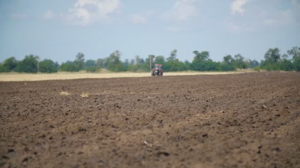 Tractor rojo arada un campo — Vídeos de Stock