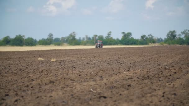 Red tractor plows a field — Stock Video