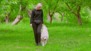 Köpek bakıcısı köpek eğitir.