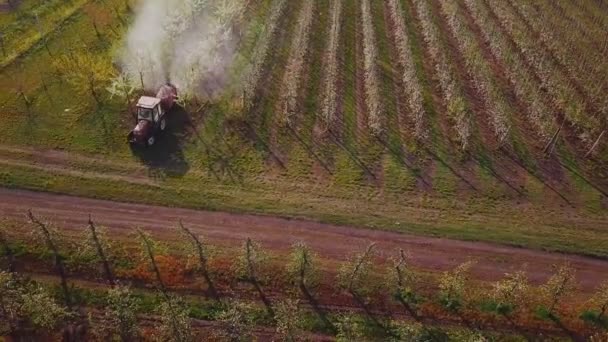 tracteur pulvérisation des arbres en fleurs