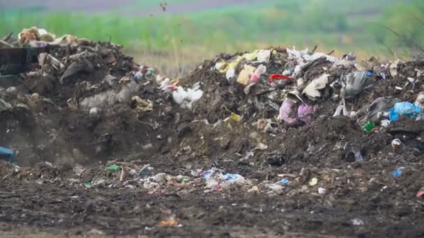 Грабитель бульдозер лопата толкает мусор — стоковое видео