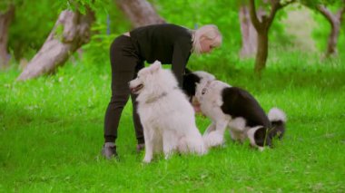 Kız eğitmen köpek eğitiyor.