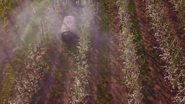Traktor rozstřikující kvetoucí stromy — Stock video