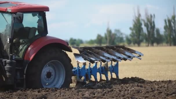 Membajak sebuah field traktor merah — Stok Video