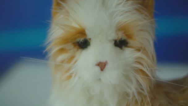 Ukrayna, Chernivtsi, Şubat 04, 2020: robot kedi başı — Stok video