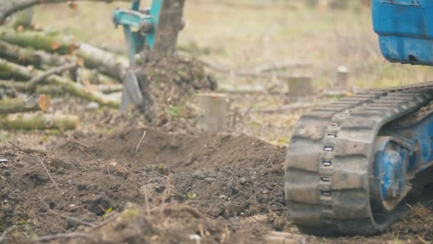 Excavator shovels the roots of trees — Stock Video