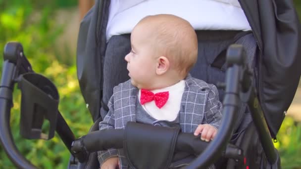 Kleine jongen zittend in een wandelwagen — Stockvideo