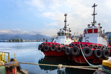 Navy pier üzerine iki tugs kırmızı ve beyaz stand. Batum. Gürcistan