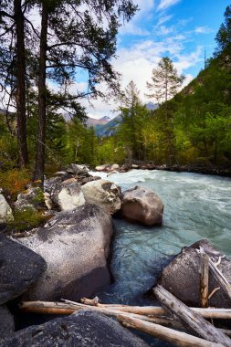 Taiga ve büyük taşlarla dalgalı nehir