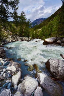 Bir buzuldan akan nehir.