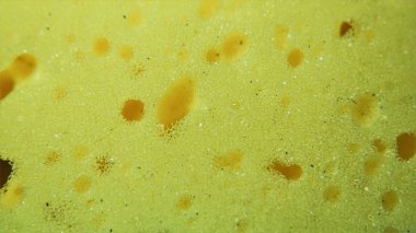 Bulaşık yıkama sünger. Makro modu