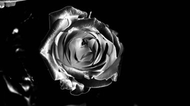 yükseldi. filmde. Makro modu