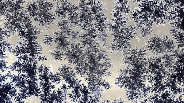 Kar Taneleri Penceresinde Karanlık Dantel — Stok fotoğraf