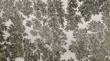 kar taneleri penceresinde karanlık dantel