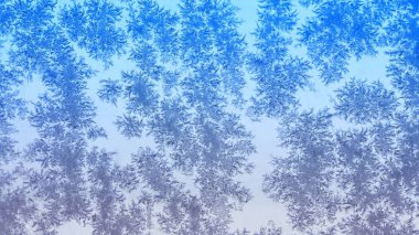 kar taneleri mavi penceresinde dantel