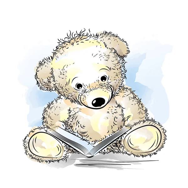 Ritning nallebjörn med bok — Stock vektor