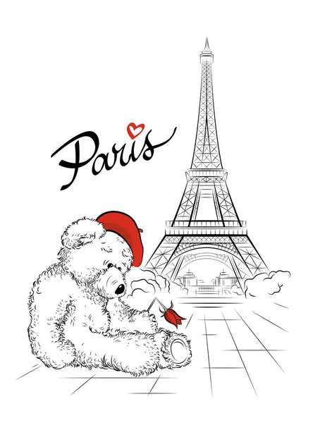 Carte postale avec ours en peluche et tour Eiffel de Paris, France — Image vectorielle