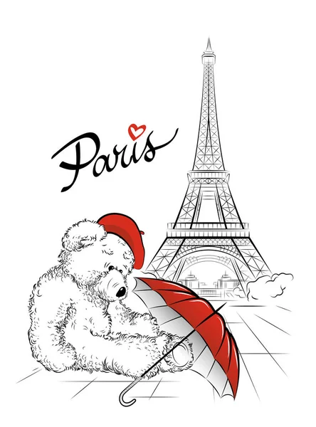 Carte postale avec ours en peluche et tour Eiffel de Paris, France — Image vectorielle