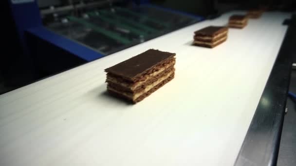 Fábrica de chocolate. Transportador para a produção de barras de chocolate — Vídeo de Stock