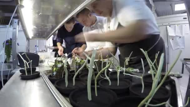 Повара, работающие на кухне в ресторане — стоковое видео