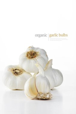 Organik sarımsak ampuller beyaz bir arka plan karşı vurdu. Food-Art serisinin bir parçası. Kopya alanı için cömert konaklama.