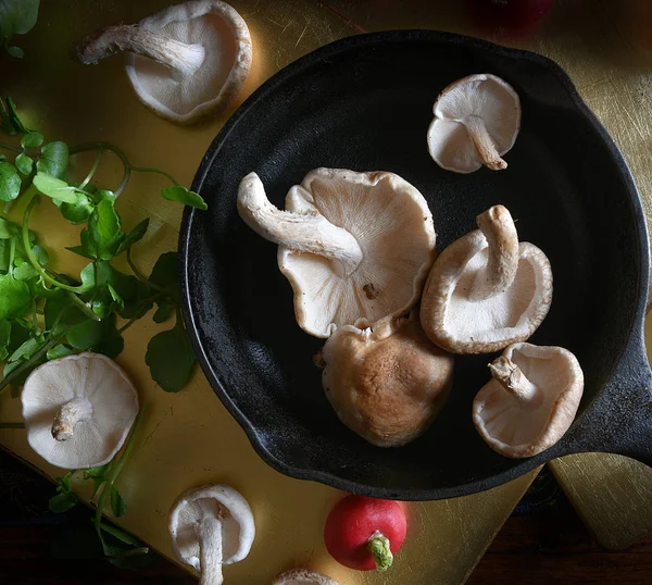Shiitake Mushrooms Crop — Stock Fotó