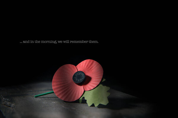 Creatively lit concept image for World War remembrance day where the red poppy is worn by millions around the world on their lapels as a symbol of remembrance to those fallen in war. Copy space.