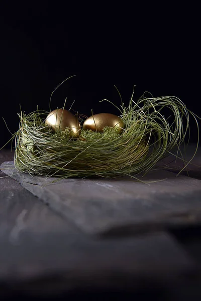 Concept Image Pensions Retirement Investments Twogolden Goose Eggs Abirds Next — Stock Photo, Image