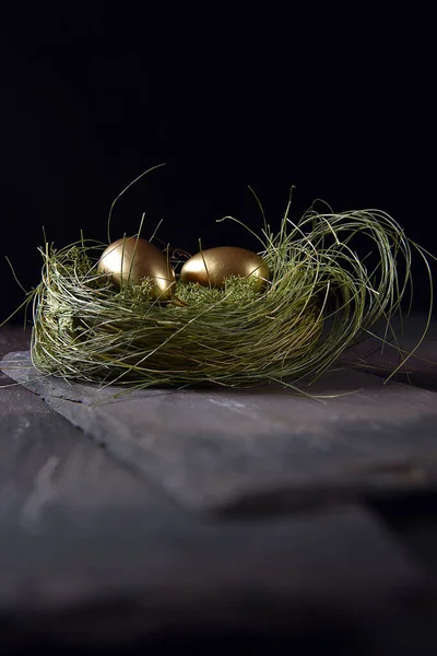 Imagem Conceitual Para Pensões Investimentos Aposentadoria Twogolden Ovos Ganso Aves — Fotografia de Stock