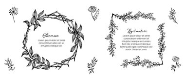 Basit çiçek ve yaprakları yapılmış şablon koleksiyonu minimalist floral çerçeveler