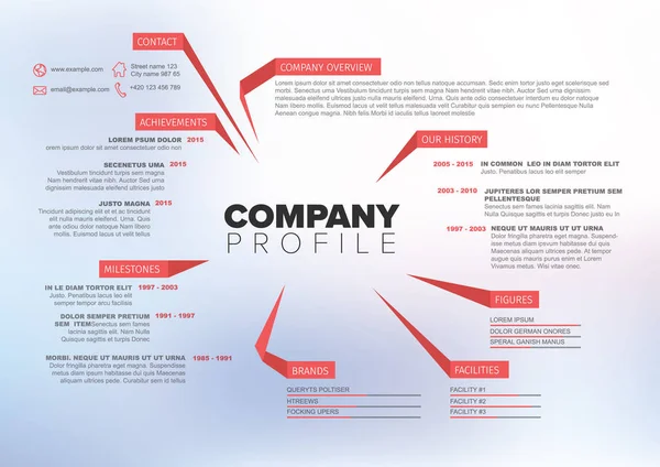 Modelo de design de visão geral de infográfico da Vector Company — Vetor de Stock