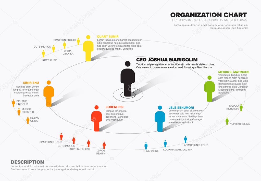 Minimalist company organization hierarchy schema