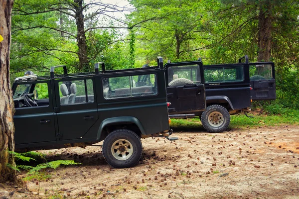 Land Rover Defender 110 suv. Sithonia, Yunanistan 2014-06-27