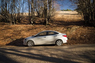 Araba Hyundai Solaris (vurgu) doğada duruyor. Büyük Kanyon, Kırım Cumhuriyeti. 2016-03-07
