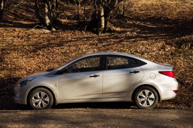 Araba Hyundai Solaris (vurgu) doğada duruyor. Büyük Kanyon, Kırım Cumhuriyeti. 2016-03-07