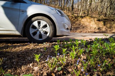 Araba Hyundai Solaris (vurgu) doğada duruyor. Büyük Kanyon, Kırım Cumhuriyeti. 2016-03-07