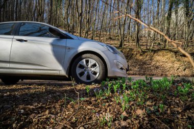 Araba Hyundai Solaris (vurgu) doğada duruyor. Büyük Kanyon, Kırım Cumhuriyeti. 2016-03-07