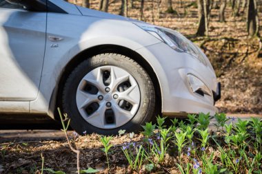 Araba Hyundai Solaris (vurgu) doğada duruyor. Büyük Kanyon, Kırım Cumhuriyeti. 2016-03-07