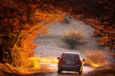 Chevrolet Aveo (Sonic). The car drives through a beautiful arch of autumn trees.. Republic of Crimea. October 31, 2015. clipart