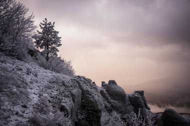 Dağ Demerdzhi, Kırım Cumhuriyeti.