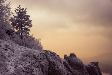 Dağ Demerdzhi, Kırım Cumhuriyeti.