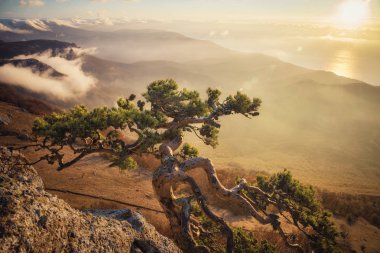Dağ Demerdzhi, Kırım Cumhuriyeti.