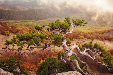 Dağ Demerdzhi, Kırım Cumhuriyeti.